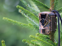 Comment fonctionne une caméra de chasse ?