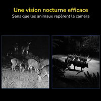 Fototrappole professionali​