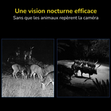 Fototrappole professionali​