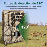 Fototrappole professionali​